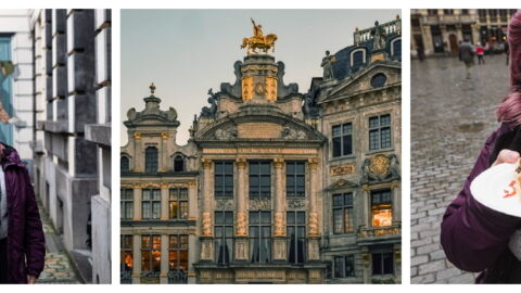 One Day in Brussels