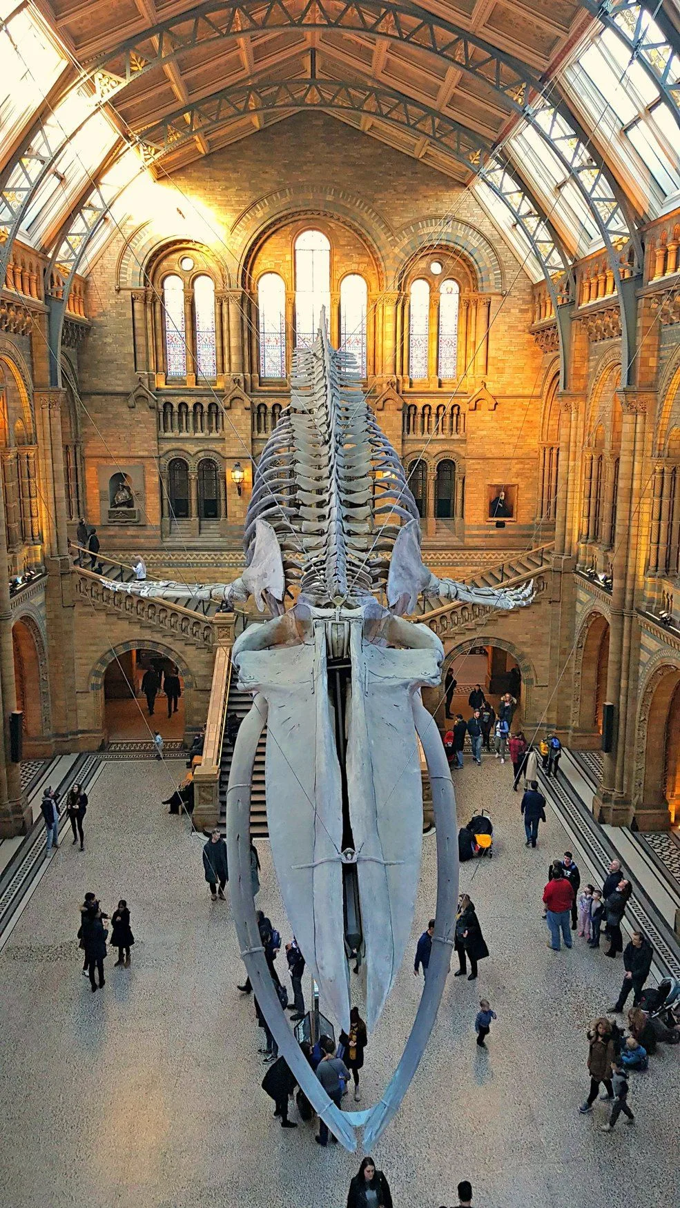 Natural History Museum