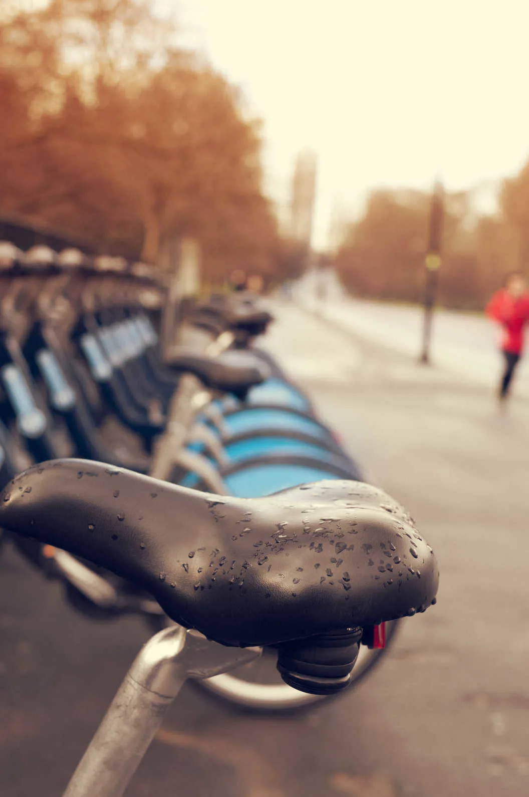 Santander Bicycle Station in Hyde Park