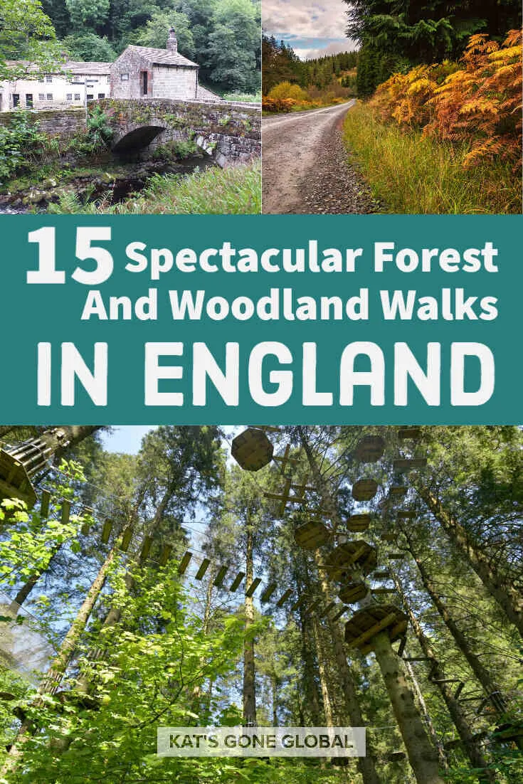 Forest And Woodland Walks In England