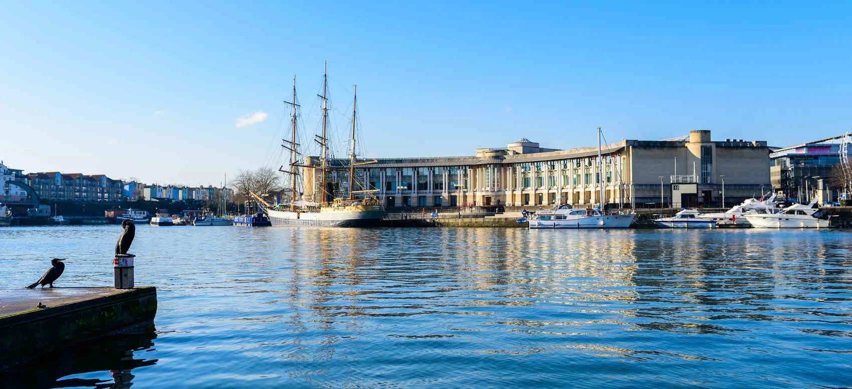 Bristol harbourside showing the buildings ships and water birds