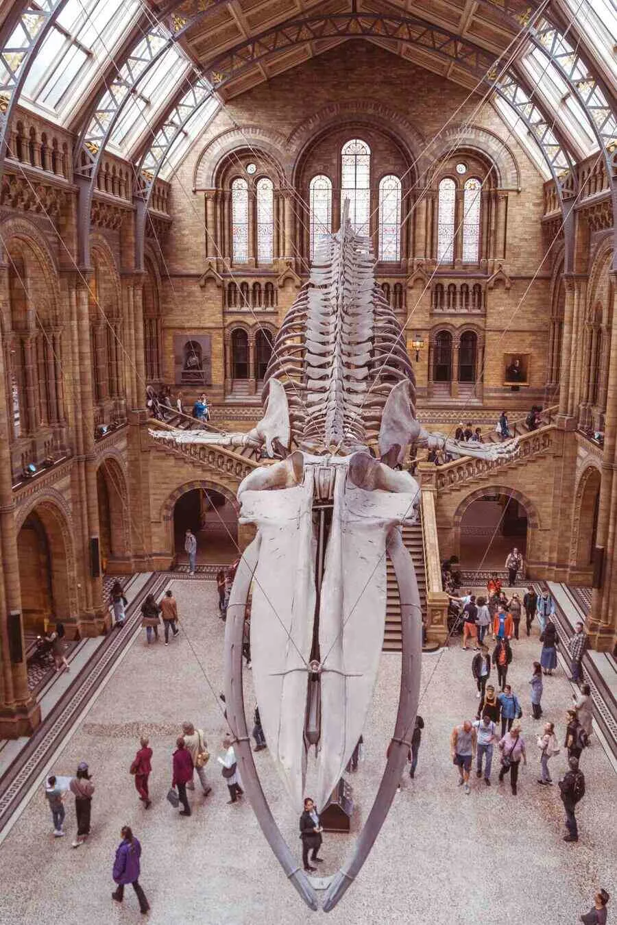 Natural History Museum