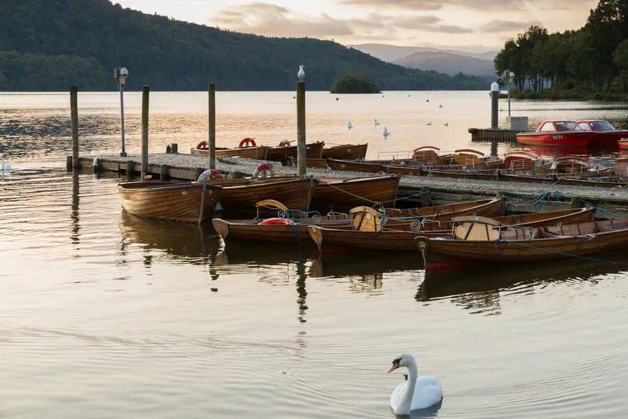 swan and moored boats in Lake Windermere