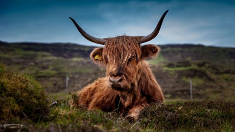 30 Things to Know Before Travelling to Scotland
