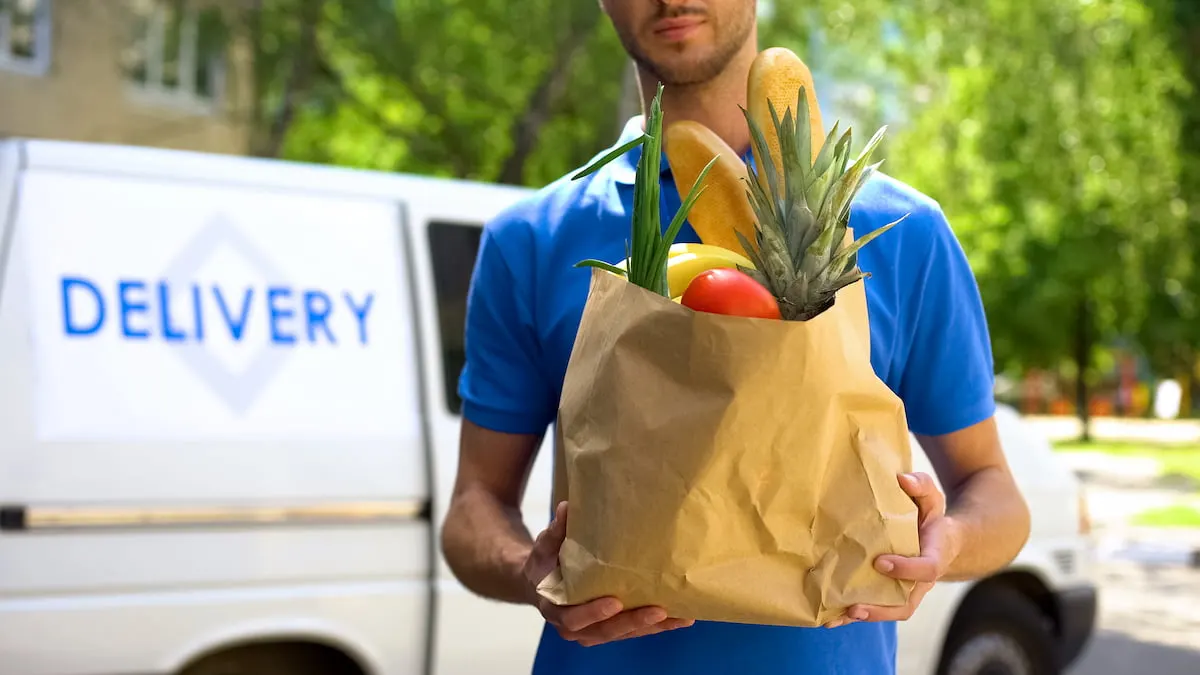 Food delivery service, male worker holding grocery bag, express food order
