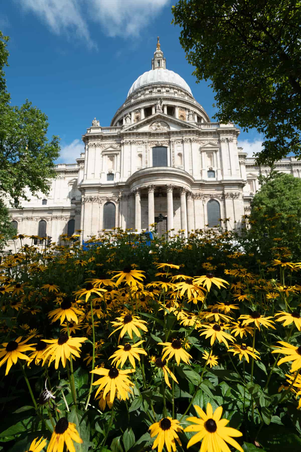 St Pauls with the flowers