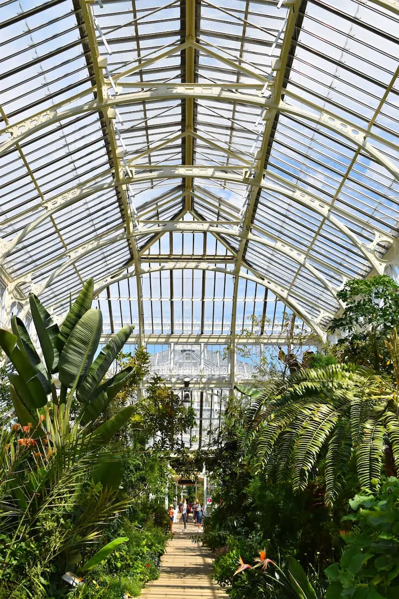 huge tropical green glass house in kew gardens 