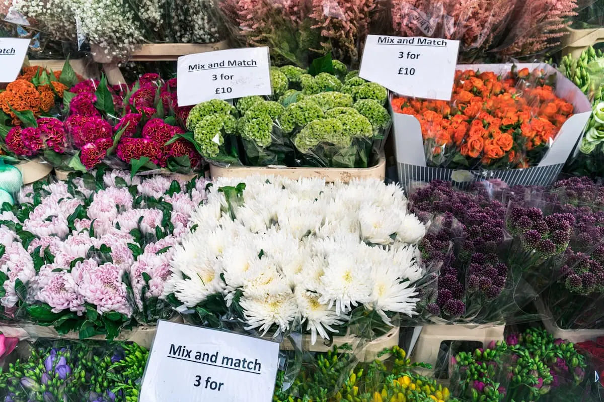 Range of flowers tat Columbia Road Flower Market