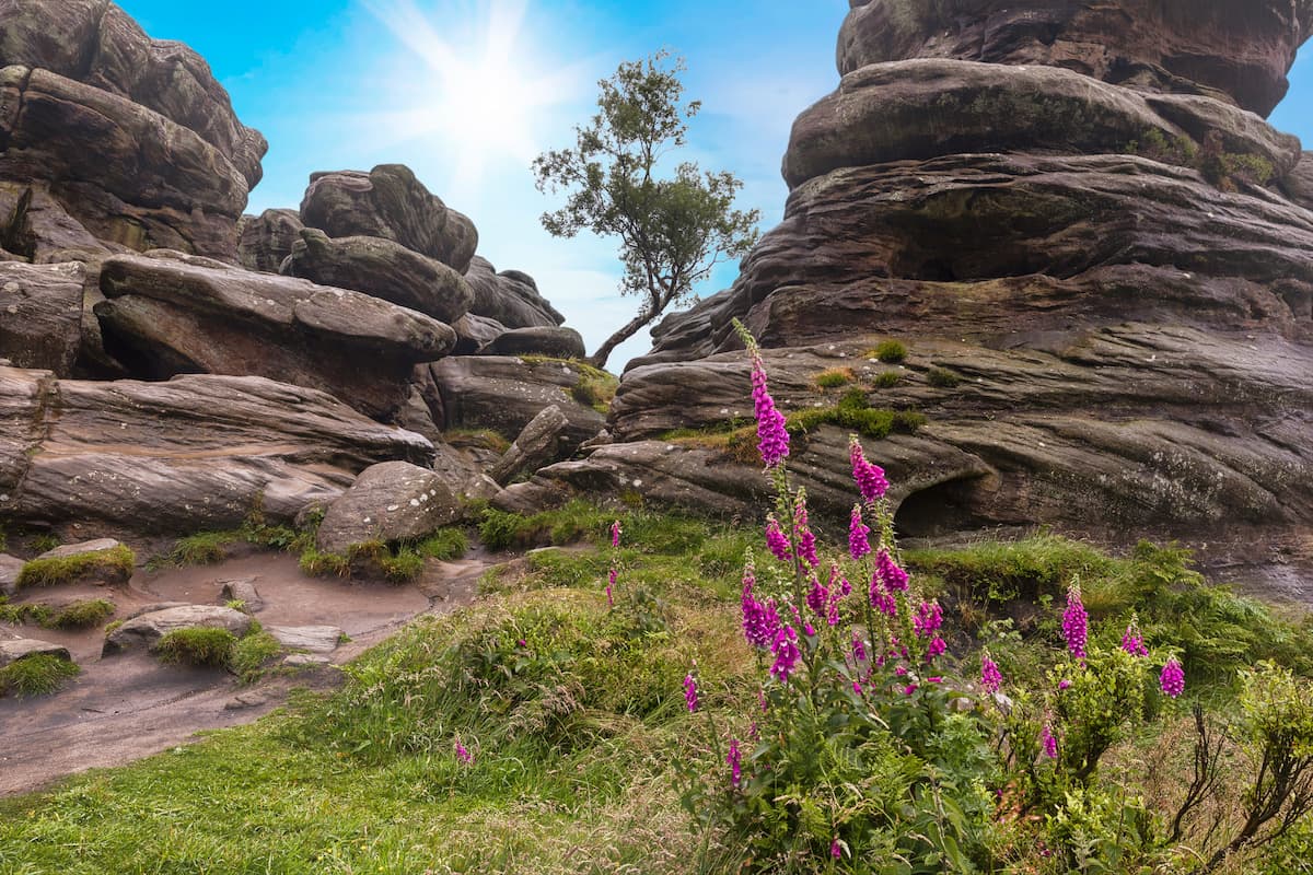 Brimham Rocks, Yorkshire Dales