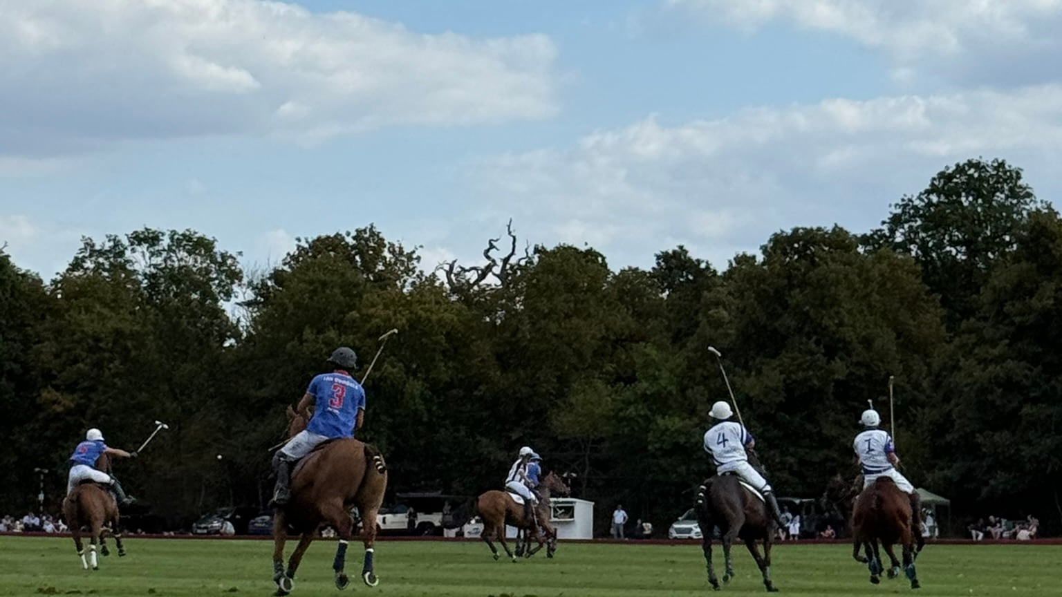 Five polo players mid-chukka at Ham Polo Club
