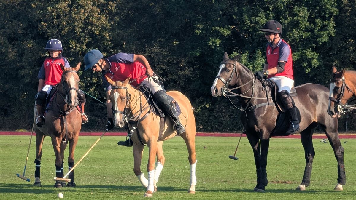 A player leans in to hit the ball with three riders in red at Ham Polo Club
