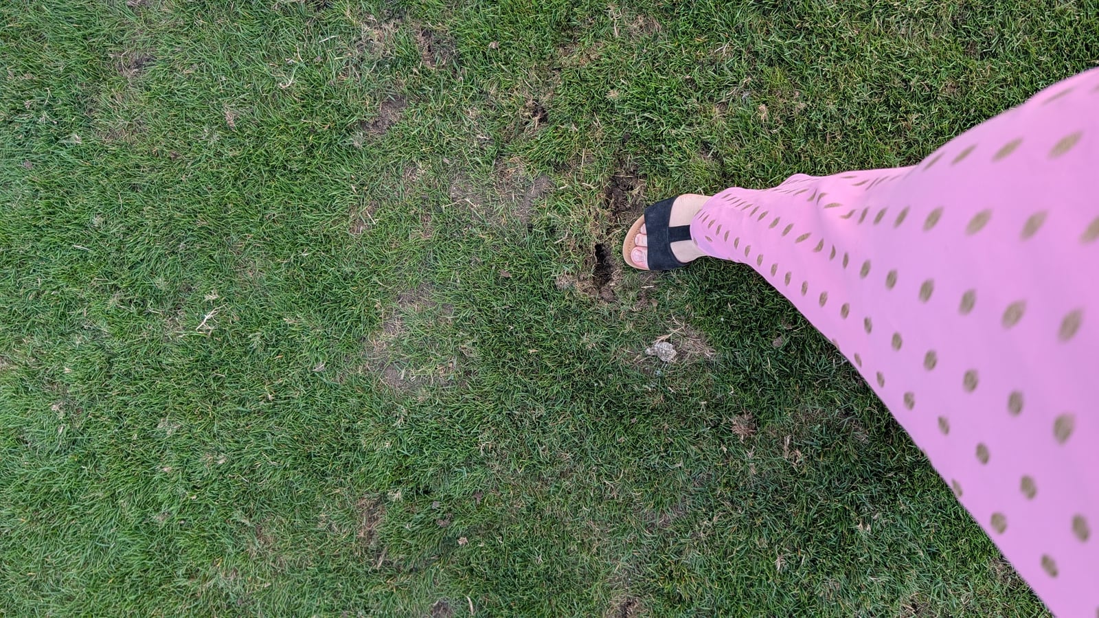 Kat's sandal pressing a divot back into the turf at half time