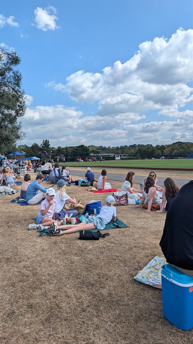 The picnic lawn full of people at Ham Polo Club with a chukka underway behind them
