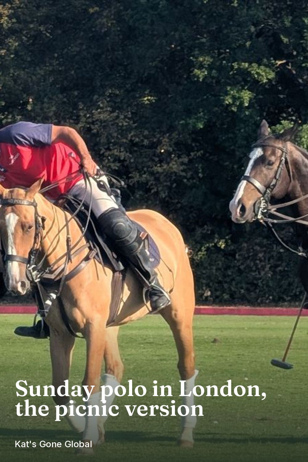 Sunday polo in London, the picnic version