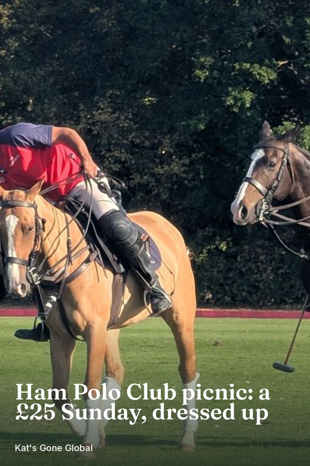 Ham Polo Club picnic: a £25 Sunday, dressed up